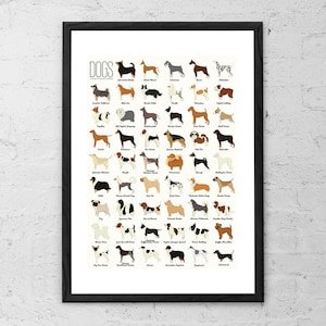 Dog Breeds A to Z Photos: Ultimate Visual Guide
