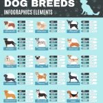 Dog Breeds A-Z With Pictures: Ultimate Guide