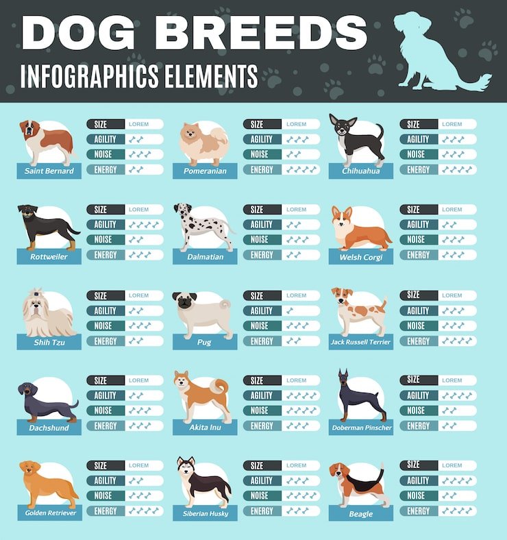 Dog Breeds A-Z With Pictures: Ultimate Guide