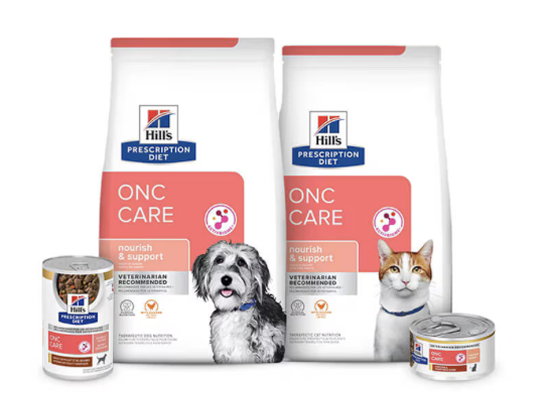 Dog Cancer Diet: Boost Health with Nutrition