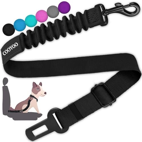 Dog Car Seat Belt: Ultimate Safety and Comfort for Every Ride