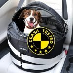 Dog Car Seat Crash Tested for Ultimate Small Dog Travel Safety
