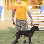 Dog Conformation Training: Perfecting Canine Elegance