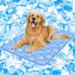 Dog Cooling Mat for Summer: Top Picks to Keep Pets Cool and Comfortable