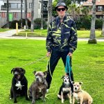 Dog Daddy Training: Master the Art of Canine Leadership