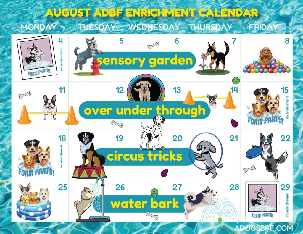 Dog Daycare Enrichment Activities: Boost Pet Happiness