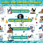 Dog Daycare Enrichment Activities: Boost Pet Happiness