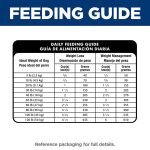 Dog Diet Chart for Weight Loss: Transform Your Pet’s Health