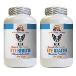 Dog Eye Health: Essential Tips for Bright Eyes