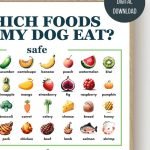 Dog Food Diet Chart: Tailored Nutrition for Pups
