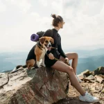 Dog Friendly Activities Colorado Springs: Top Paw Adventures