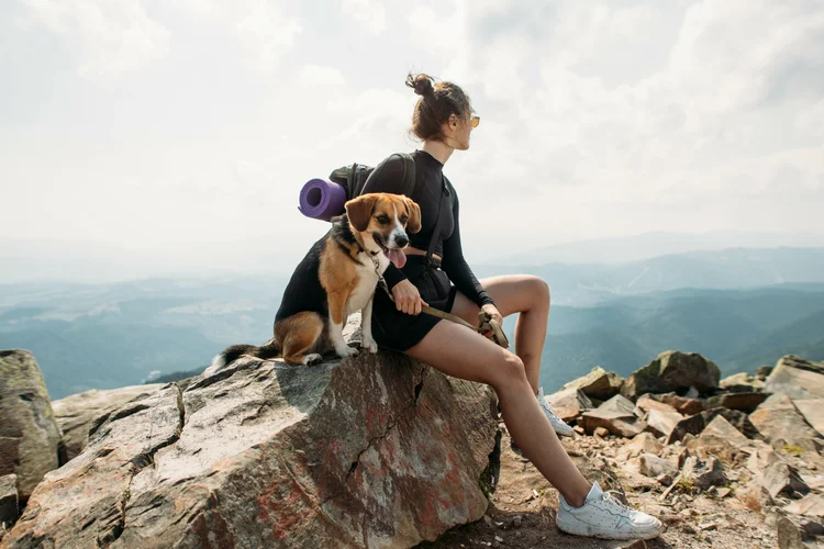 Dog Friendly Activities Colorado Springs: Top Paw Adventures