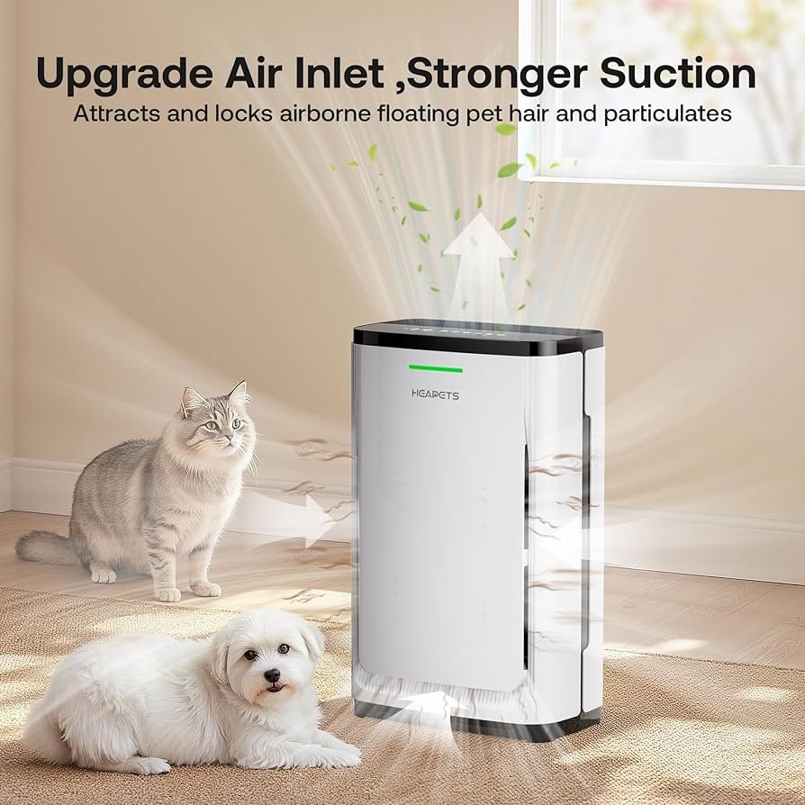 Dog Groomer Air Purifier: Essential for Fresh Spaces