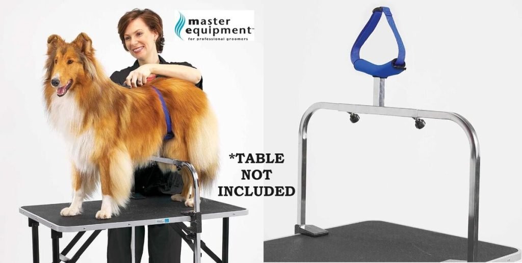 Dog Groomer Equipment: Essential Tools for Professionals