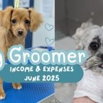 Dog Groomer Income: Boost Earnings with Proven Tips
