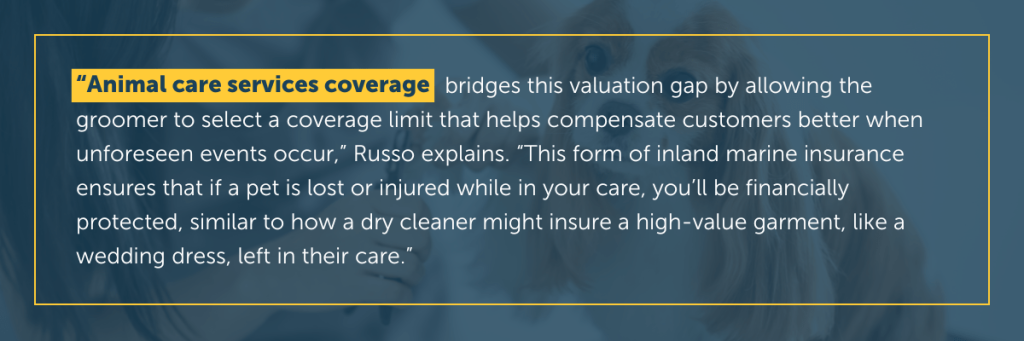 Dog Groomer Insurance: Essential Coverage Explained