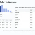 Dog Groomer Pay: Unveiling Earnings Potential