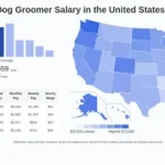 Dog Groomer Wage: Unlocking Earning Potential