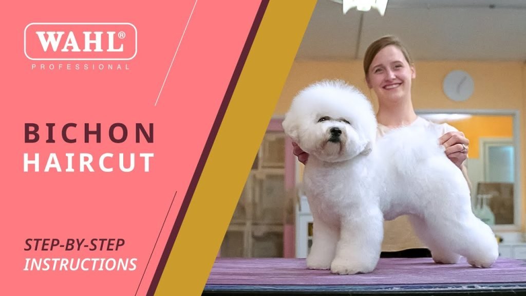 Dog Grooming Bichon Frise: Expert Tips for Fluffy Perfection