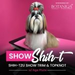 Dog Grooming Classes Online Free: Learn Anytime, Anywhere