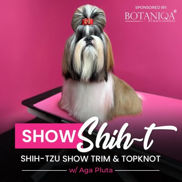 Dog Grooming Classes Online Free: Learn Anytime, Anywhere