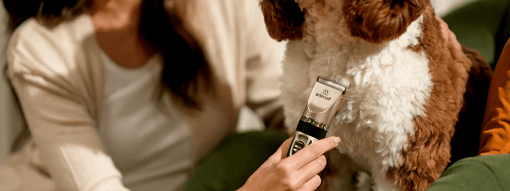 Dog Grooming Clippers How to: Master the Art Effortlessly