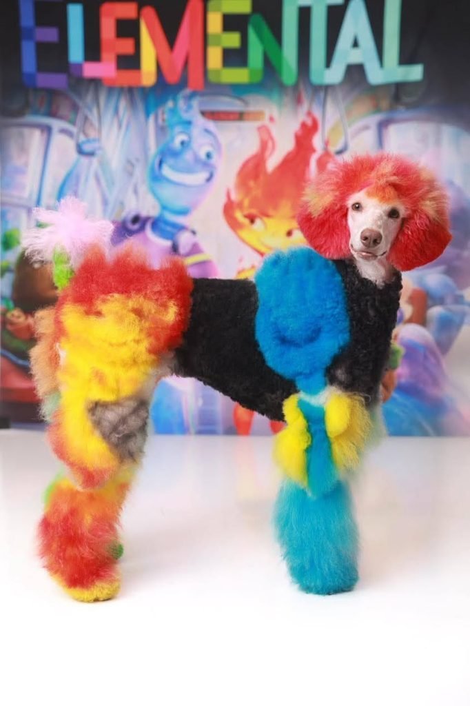 Dog Grooming Contest: Unleash the Ultimate Style Battle