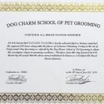 Dog Grooming License: Unlocking Your Pet Care Career