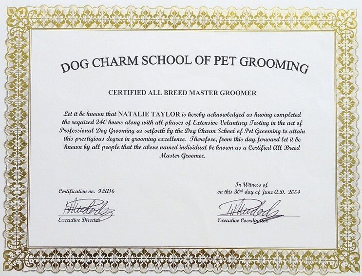 Dog Grooming License: Unlocking Your Pet Care Career