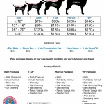 Dog Grooming Packages: Tail-Wagging Deals Await!