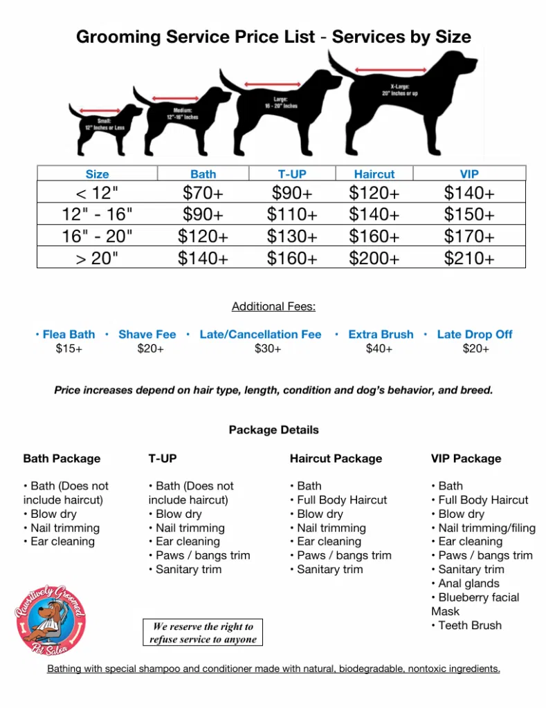 Dog Grooming Packages: Tail-Wagging Deals Await!