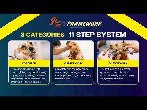 Dog Grooming Requirements: Essential Tips Revealed