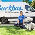 Dog Grooming Van Rental: Convenience on Wheels