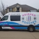 Dog Grooming Vans: Convenient Mobile Pet Care