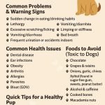Dog Health Problems: Uncover Causes & Solutions