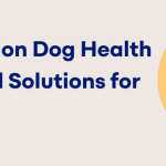 Dog Health Problems And Solutions: Expert Tips & Remedies