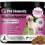 Dog Heart Health Supplements: Boost Your Pup’s Vitality