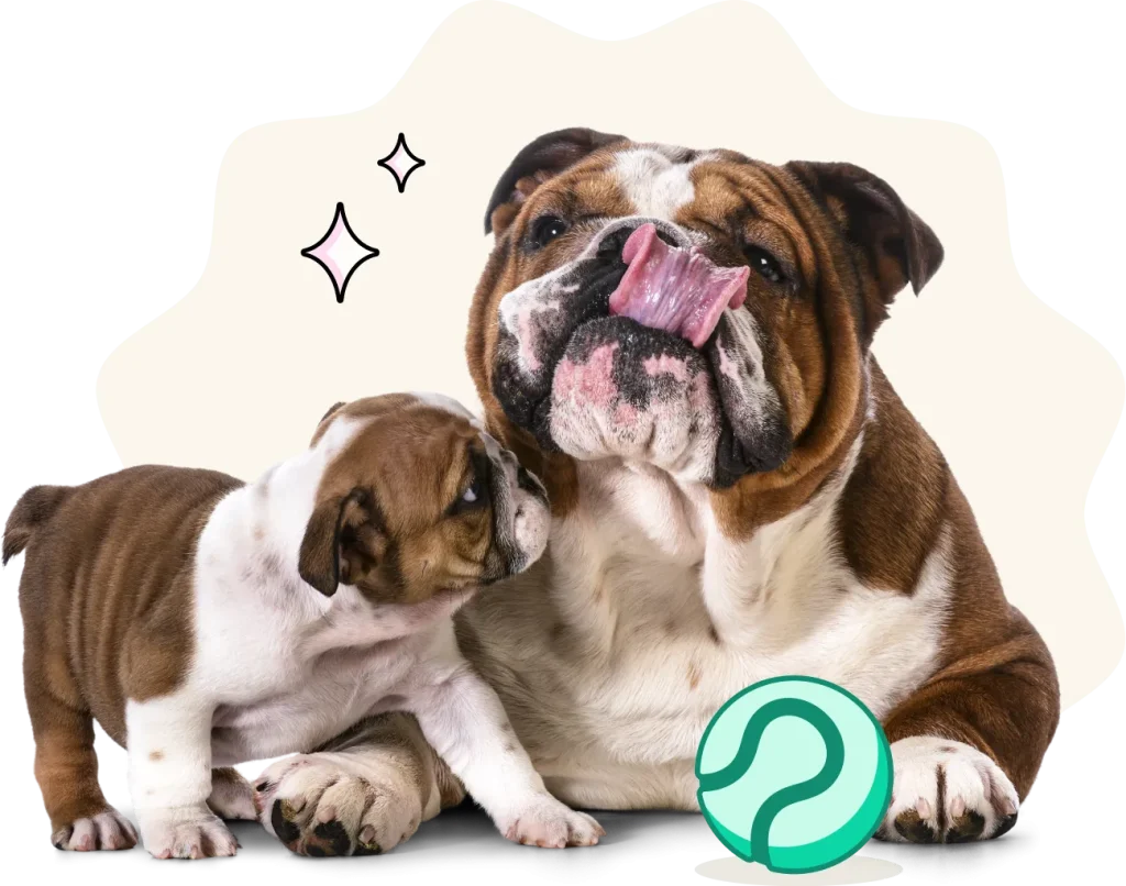 Dog Insurance Canada: Essential Coverage Guide