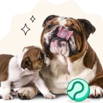 Dog Insurance Canada: Essential Coverage Guide