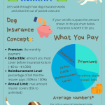 Dog Insurance is It Worth It: A Comprehensive Guide