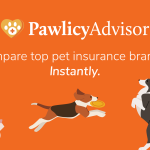 Dog Insurance Oregon: Safeguard Your Pet’s Health Today