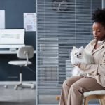 Dog Insurance With No Waiting Period: Instant Peace