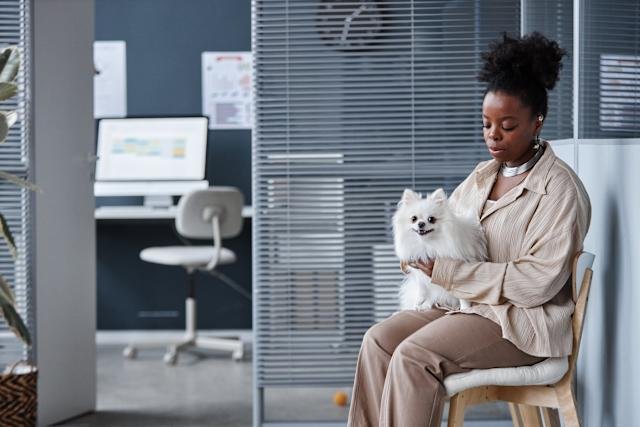 Dog Insurance With No Waiting Period: Instant Peace