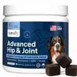 Dog Joint Health Supplements: Boost Mobility Naturally
