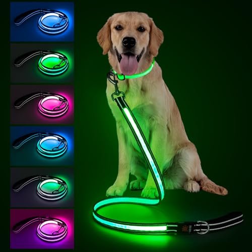 Dog Led Leash: Ultimate Night Safety with Rechargeable LED Lights
