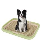 Dog Litter Tray Training: Easy Steps for Success