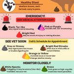 Dog Poop Health: Key Insights for Pet Owners