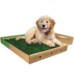Dog Potty Training Accessories: Essential Tools Revealed