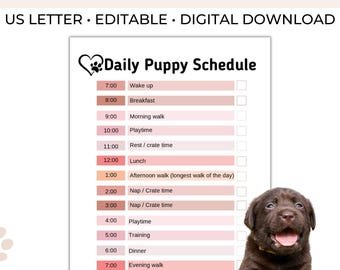 Dog Potty Training Schedule: Expert Tips for Success