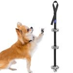 Dog Potty Training With Bell: Easy Steps to Success